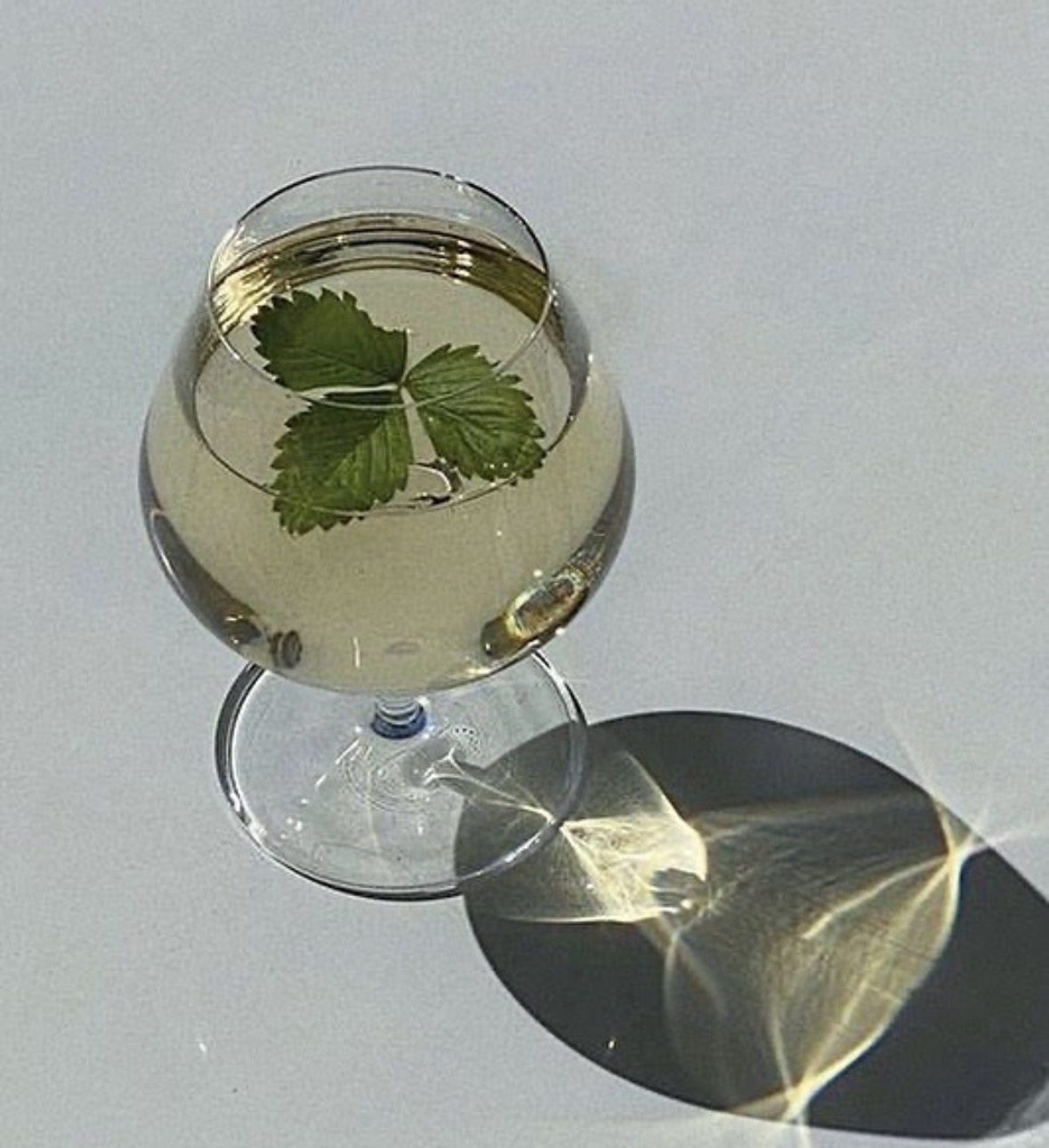 Cocktail mit Minzgarnitur